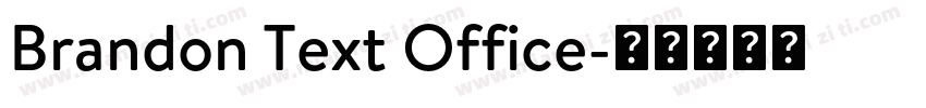 Brandon Text Office字体转换